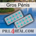 Gros Pénis 29